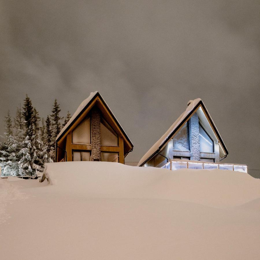 Lesny Wierch Luxury Spa Villas Bukowina Tatrzańska Buitenkant foto